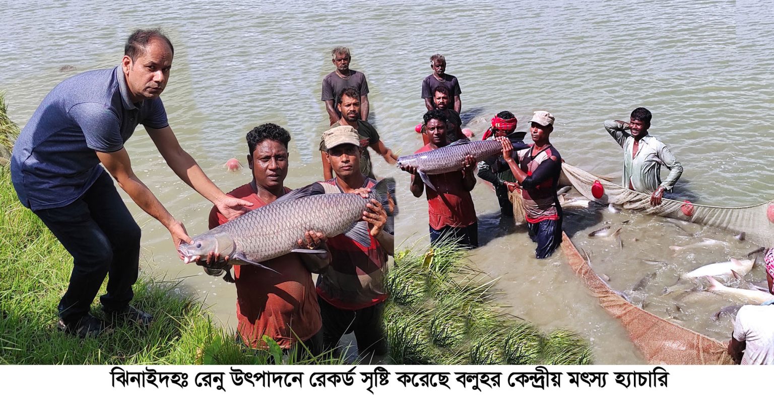 হ্যাচারিতে চীন থেকে আমদানীকৃত সিলবার, বিগহেড ও গ্রাসকার্পের রেনু ও ভিয়েতনামীয় পাঙ্গাস, কালবাউস এবং সুবর্ন রুই মাছ লালন পালন করা হচ্ছে।