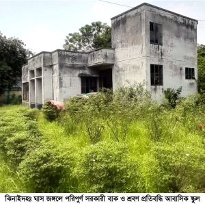 ভবন দুইটির জানালা, দরজা ও ইলেক্ট্রনিক পরিস্থিতি নাজুক। ঘাস জঙ্গলে ভবন দুইটি ঘিরে ধরেছে।